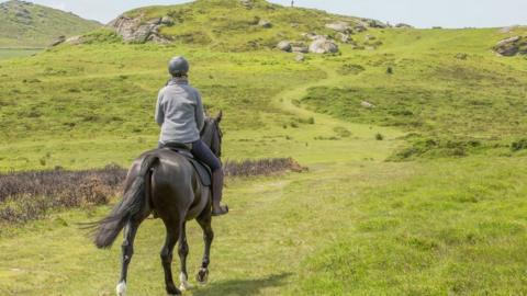 Dartmoor