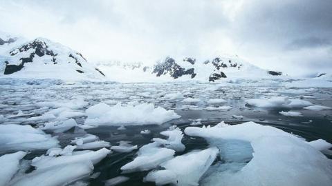 Antarctic.