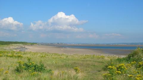 Asbestos has been reportedly found on Burry Port Beach in Carmarthenshire's Millennium Coastal Park