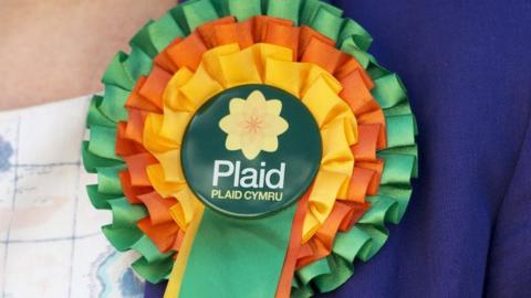 Plaid Cymru rosette