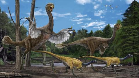 Artists impressions of the Gigantoraptor and the smaller Microraptor