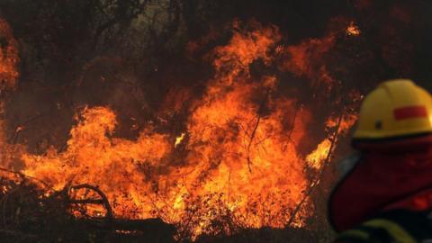 Wildfire in the Pantanal in 2019 destroyed tens of thousands of hectares
