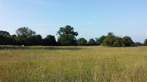 Wenny Meadows, Chatteris