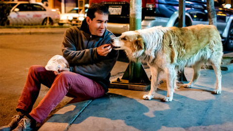Fernando Kushner feeds a stray in La Paz