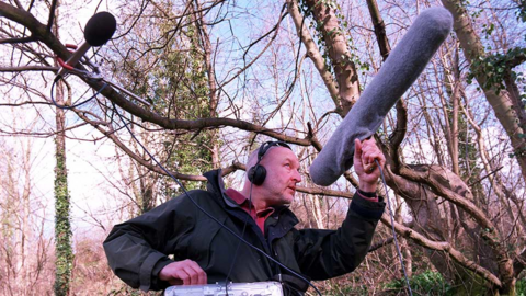 Sound recordist in the woods