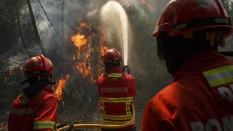 Firefighters battle a fire after a wildfire took dozens of lives on June 20, 2017 in Mega Fundeira village