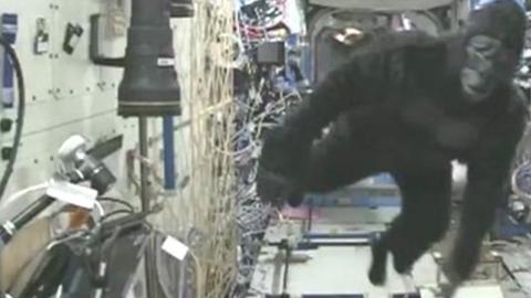 Man in a gorilla suit on the International Space Station