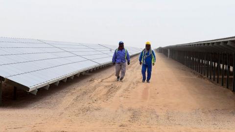 A solar farm in Dubai