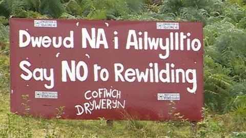 Ailwylltio