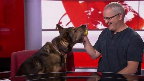 Finn and PC Dave Wardell