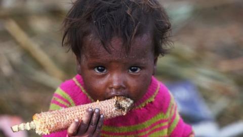 A child nibbles on a corn in the outskirts of Srinagar, the Indian-administered Kashmir. Photo: 10 June 2015