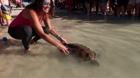 Sea turtle and smiling woman