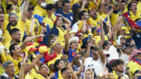 Ecuador fans