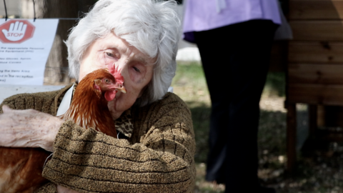 Irene Fleming and chicken