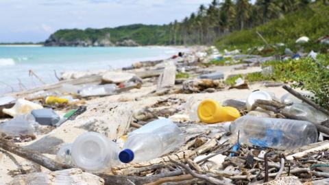 Garbage and pollution on a Tropical beach