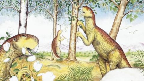 Illustration of Psittacosaurus
