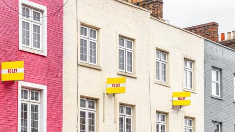 Houses with To Let signs on their walls