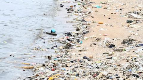 Polluted beach.