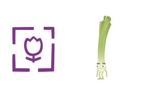 A cartoon spring onion with a smiling face and arms and legs.