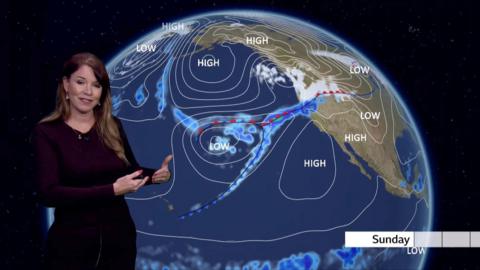 Elizabeth Rizzini stands in front of a weather graphic