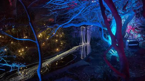A view of the park showing trees illuminated in blue light. Strings of white light appear to make a waterfall 