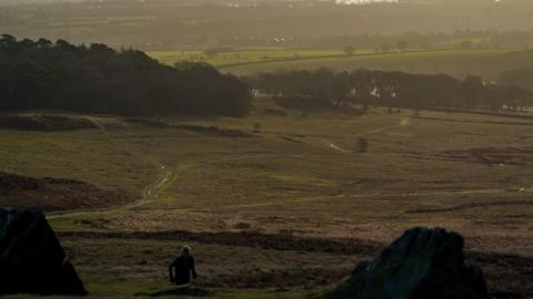 Bradgate Park