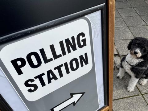 Dog outside polling station
