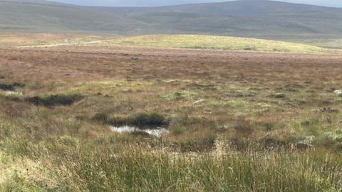 Site of bog