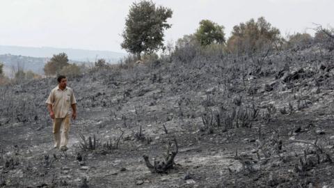 A man looks at burned farmland near Tartous, Syria (11 October 2020)3