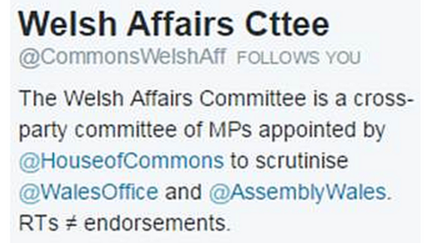 The Welsh affairs committee