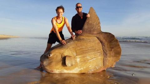 Hunter Church and Steven Jones smile for a picture standing up behind the sunfish