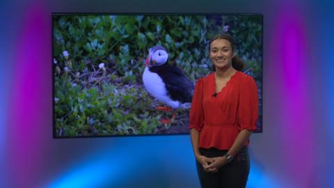 Nina on the Newsround set