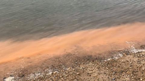 Orange liquid at West Mersea
