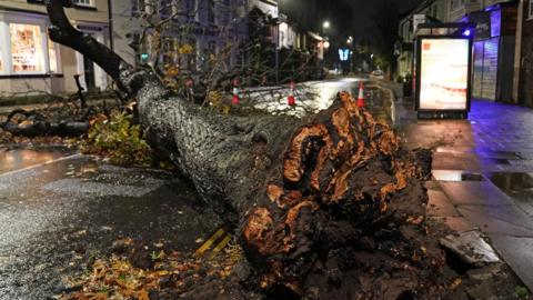 A fallen tree blocks a road in the centre of Norton village in Teesside after gusts of almost 100 miles per hour battered some areas of the UK during Storm Arwen