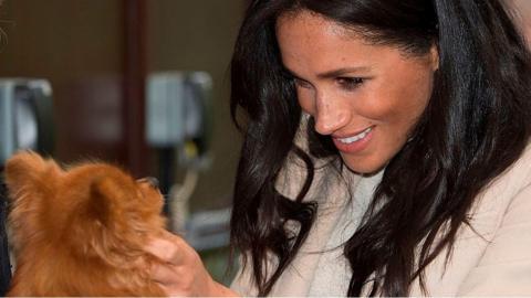 The Duchess of Sussex laughs off an unexpected comment while on a visit to a charity in London.