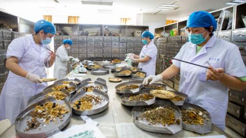 Workers preparing food