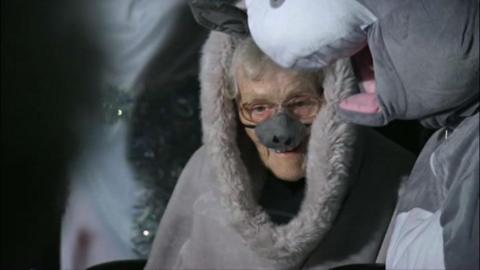 Woman, 98, dressed in donkey costume