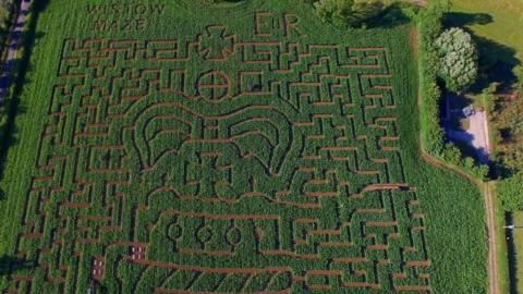 A coronation crown design at Wistow Maze to celebrate the Queen's Platinum Jubilee