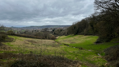 A large valley is pictured with grass and trees all around. In the background is an urban environment, such as homes.
