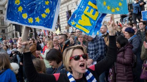 A Brexit protester marches through central London