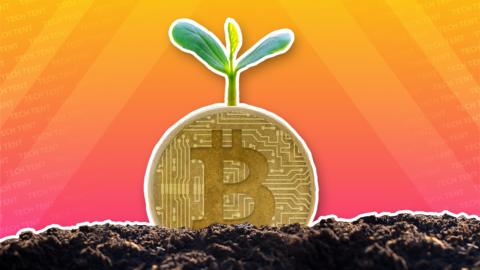 A green sprout grows from some Bitcoin