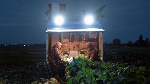 Pickers working at night