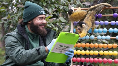A squirrel monkey leans over a clipboard as a zoo keeper writes.