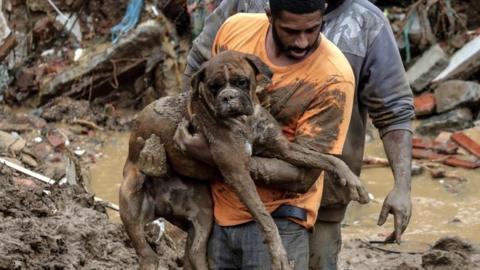 mud covered dog