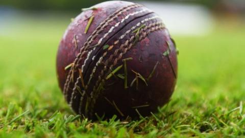 Cricket ball