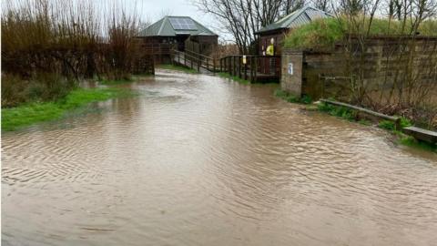 Flooding at Seaton Wetlands nature reserve