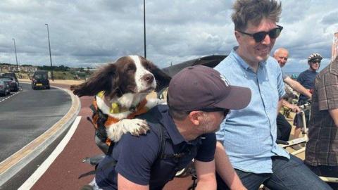 A beautiful dog on the back of a cyclist 