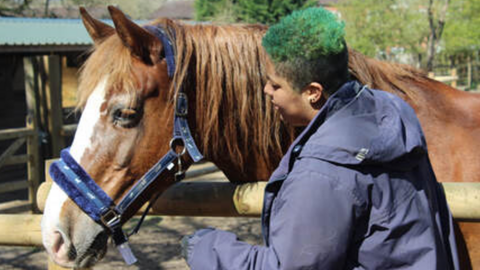 Children riding horses at Summerfield Stables.