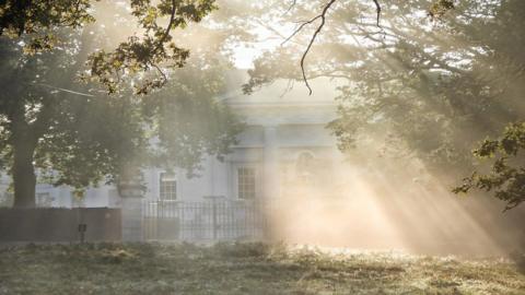 Shards of sunlight burst through the tree canopy and down to the ground in front of a large white building