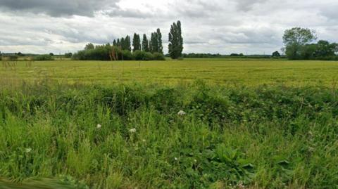 Image shows fields with large trees in the distance, hedgerows and plants